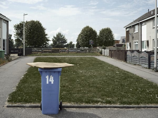 BIN DAY